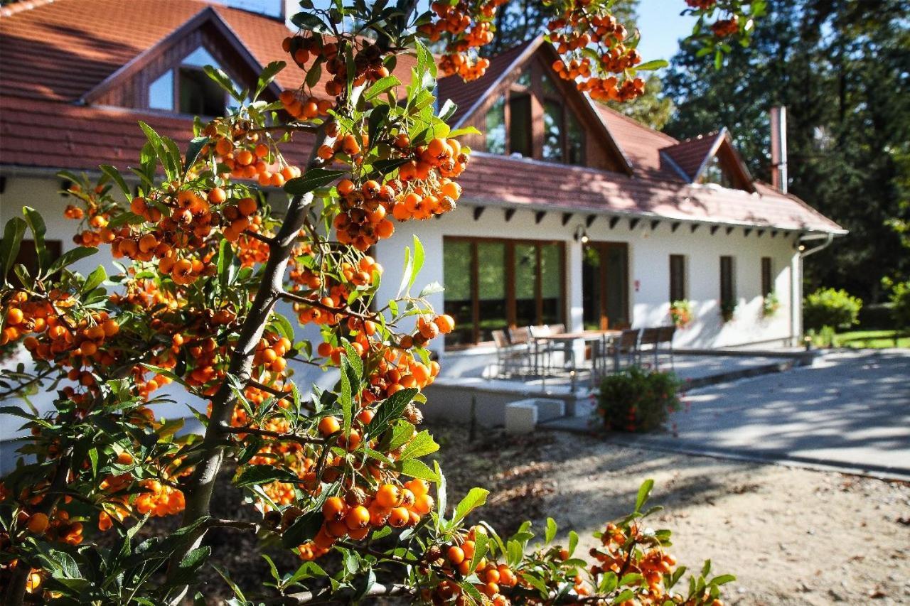 Hódoséri Vadászház Bakonyszentlaszlo Esterno foto